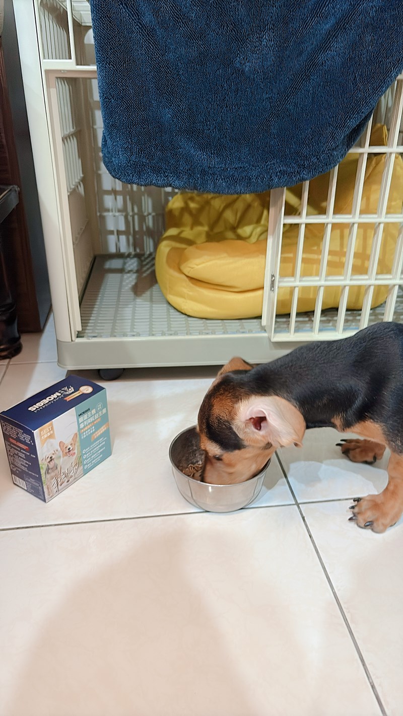 女人知己試用大隊,口碑行銷,部落客行銷,Moegis萌吉 腸道生機專利RBE益生菌,寵物益生菌,專利RBE益生元,專利蔬果酵素,小分子胜肽,藍藻粉,維持免疫力,幫助維持消化道機能,維持正常食慾,改變細菌叢生態,腸胃保健,犬貓適用